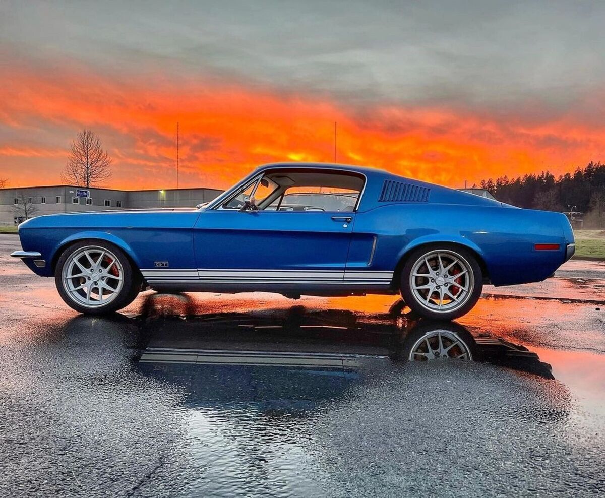 Brand new Build ZERO miles 1967 Mustang Fastback hipo 302 v8 with 4 speed 1967 Ford Mustang