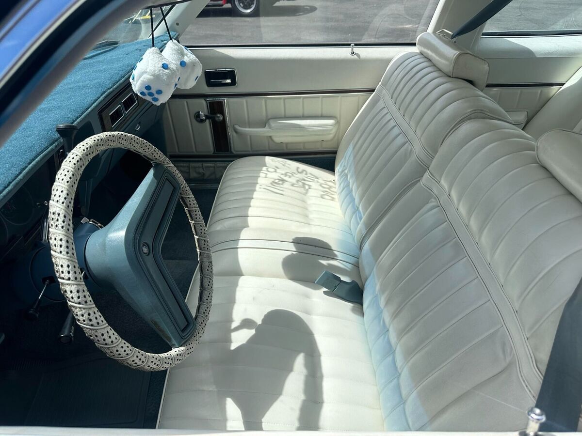 1978 Buick Skylark - photo 12