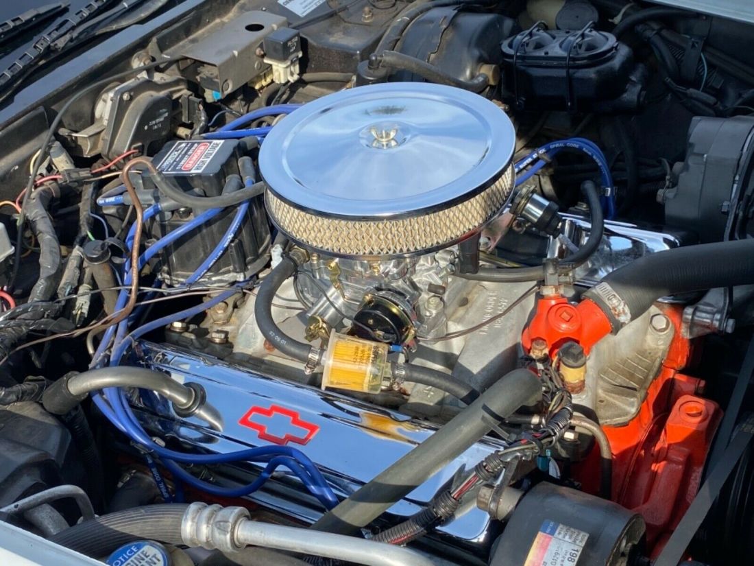 1981 Chevrolet Corvette 275 HP - photo 9