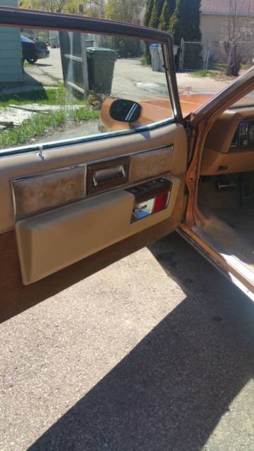 1978 Buick Park Avenue - photo 13
