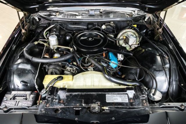 1977 Buick Regal - photo 3