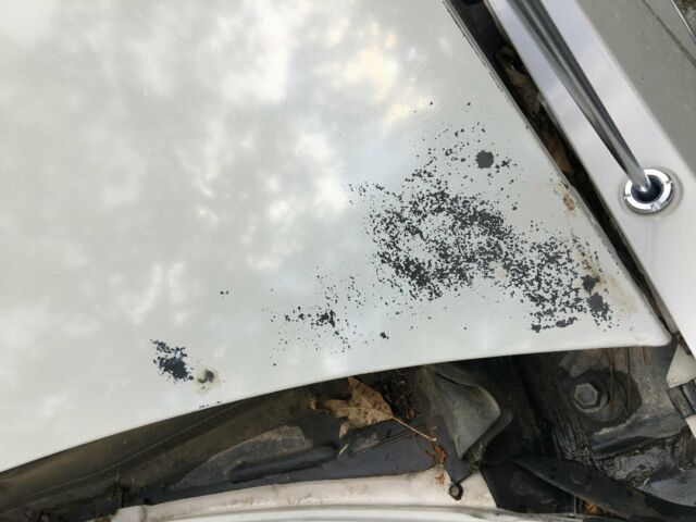 1980 Buick Riviera - photo 13