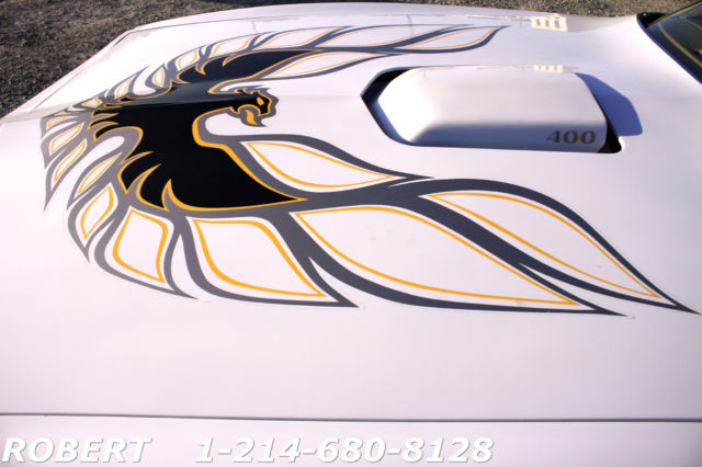 1978 Pontiac Firebird BARRET JACKSON T/A TRANS AM 4 SPEED MANUAL A/C - photo 6