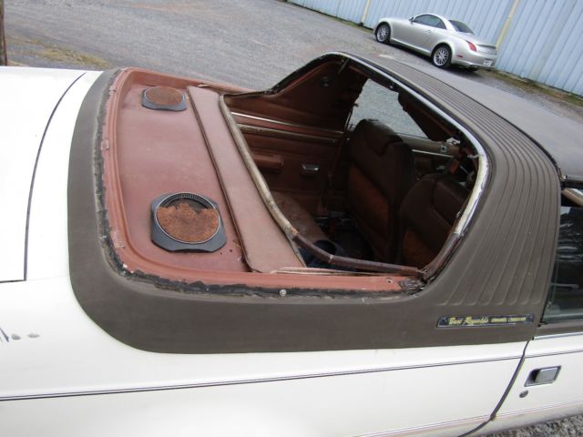 1982 AMC Concord Sundancer - photo 9