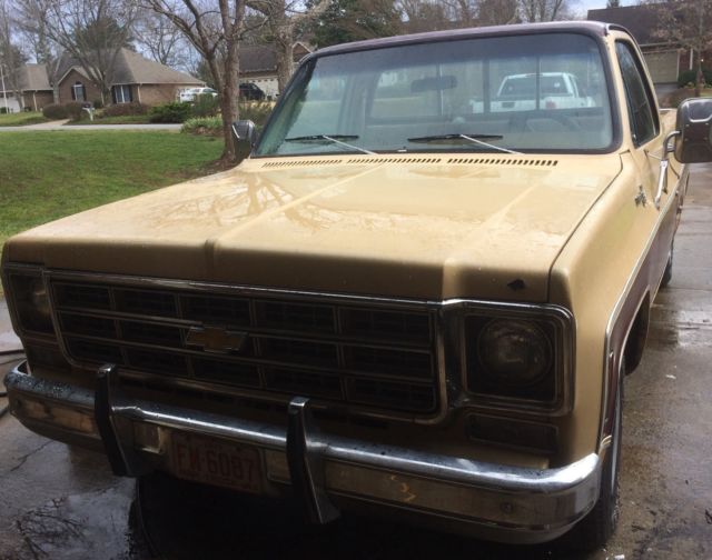 1977 Chevrolet C-10 Silverado, Trailering Special - photo 6