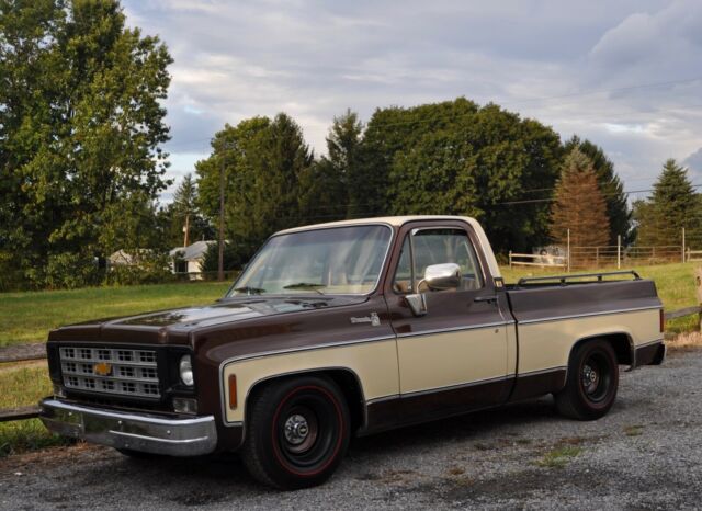 1978 Chevrolet C-10 Silverado - photo 2
