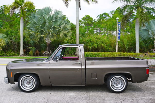 1982 Chevrolet C-10 Silverado - photo 5