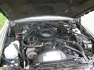 1985 Cadillac Eldorado - photo 13