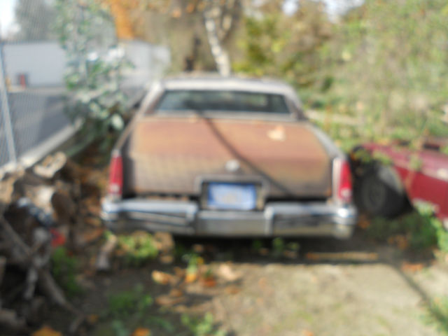1984 Cadillac Eldorado - photo 2