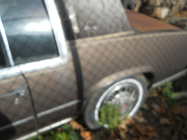 1984 Cadillac Eldorado - photo 3