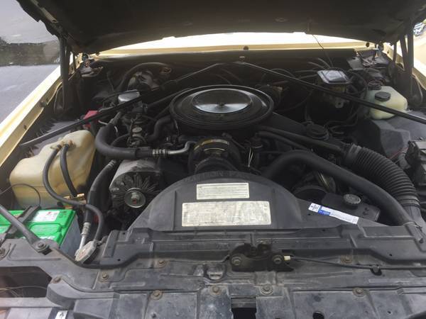 1985 Cadillac Barritz - photo 3