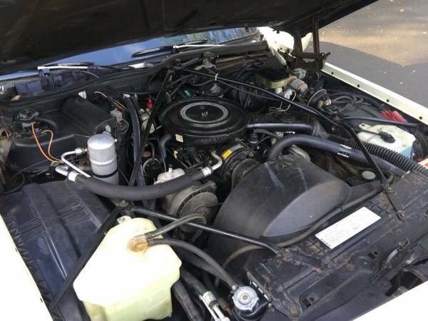 1984 Cadillac DeVille - photo 7