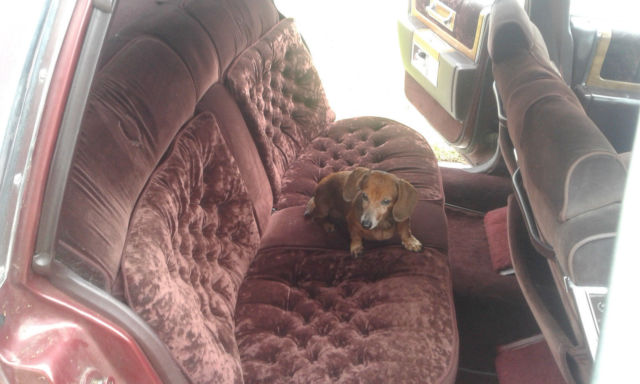 1980 Cadillac Fleetwood Brougham D Elegance - photo 9