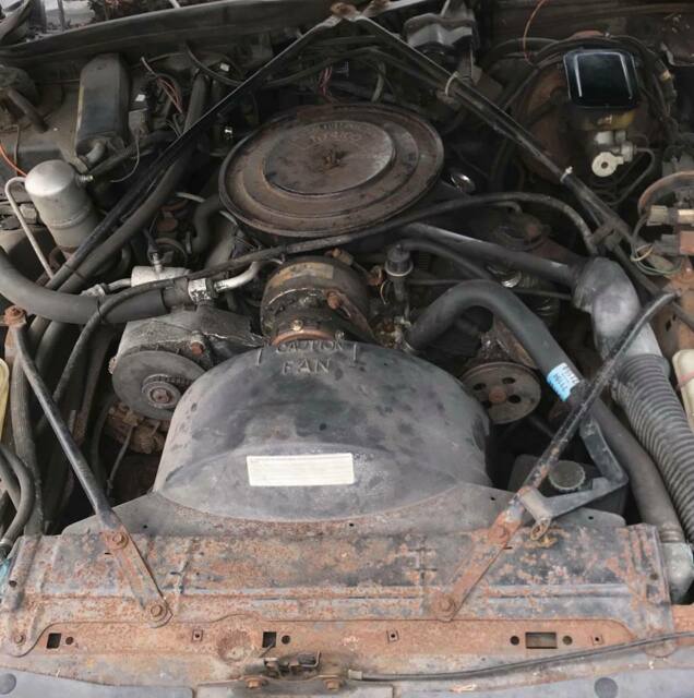 1982 Cadillac DeVille - photo 4