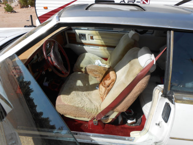 1980 Cadillac Eldorado Stainless Steel - photo 11