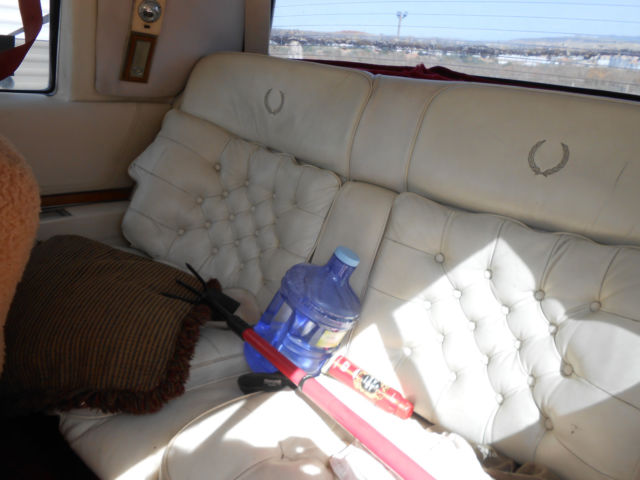 1980 Cadillac Eldorado Stainless Steel - photo 12