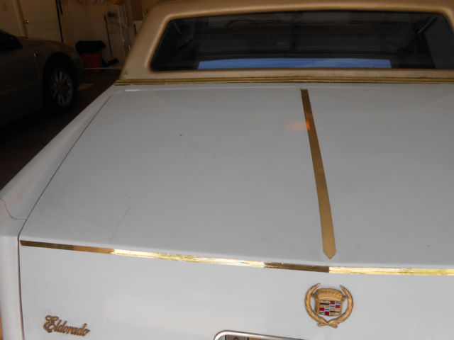 1980 Cadillac Eldorado Stainless Steel - photo 8