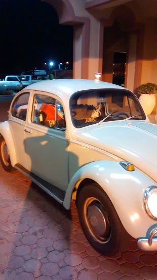 1966 Volkswagen Beetle - Classic - photo 2