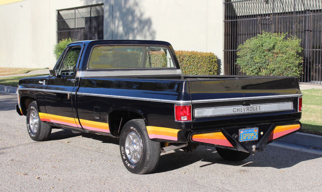 1979 Chevrolet Cheyenne 10, One Owner, 52k Orig Miles, 100% Rust Free - photo 10
