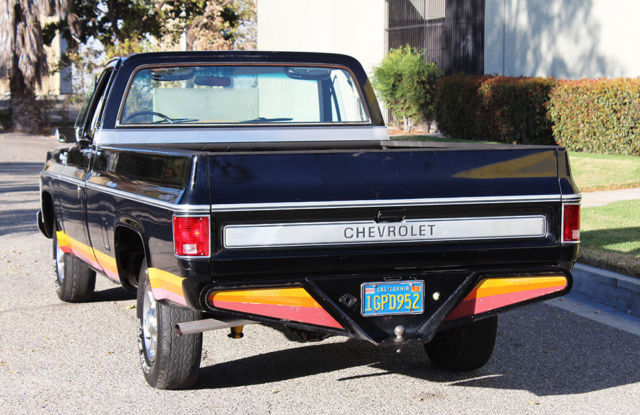 1979 Chevrolet Cheyenne 10, One Owner, 52k Orig Miles, 100% Rust Free - photo 11