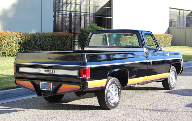 1979 Chevrolet Cheyenne 10, One Owner, 52k Orig Miles, 100% Rust Free - photo 12