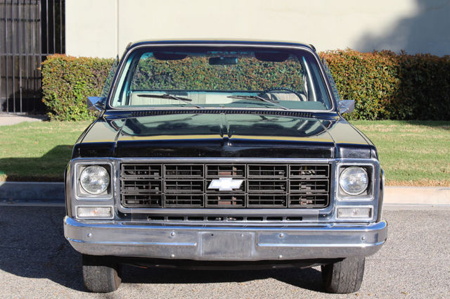 1979 Chevrolet Cheyenne 10, One Owner, 52k Orig Miles, 100% Rust Free - photo 3