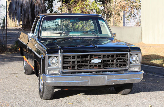 1979 Chevrolet Cheyenne 10, One Owner, 52k Orig Miles, 100% Rust Free - photo 4