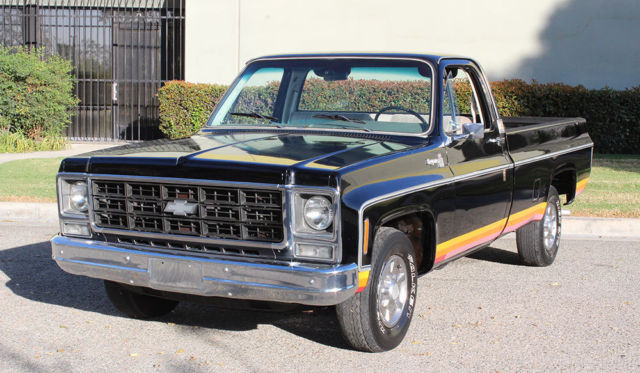 1979 Chevrolet Cheyenne 10, One Owner, 52k Orig Miles, 100% Rust Free - photo 8