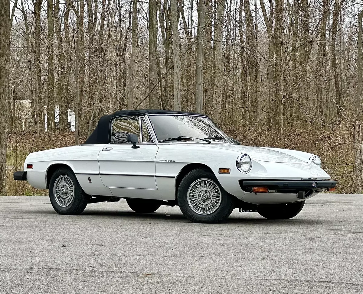 CALIFORNIA RUST FREE 48k ORIGINAL MILES 2 Family Owned 1980 Alfa Romeo CALIFORNIA RUST FREE 48k ORIGINAL MILES 2 Family Owned