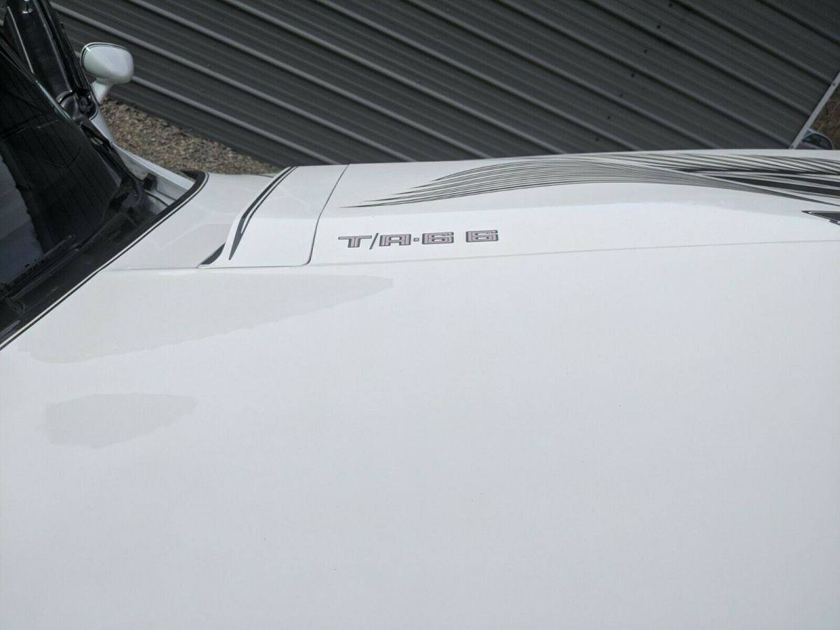 1981 Pontiac Trans Am pace car edition - photo 10