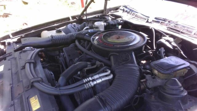 1984 Chevrolet Camaro - photo 2