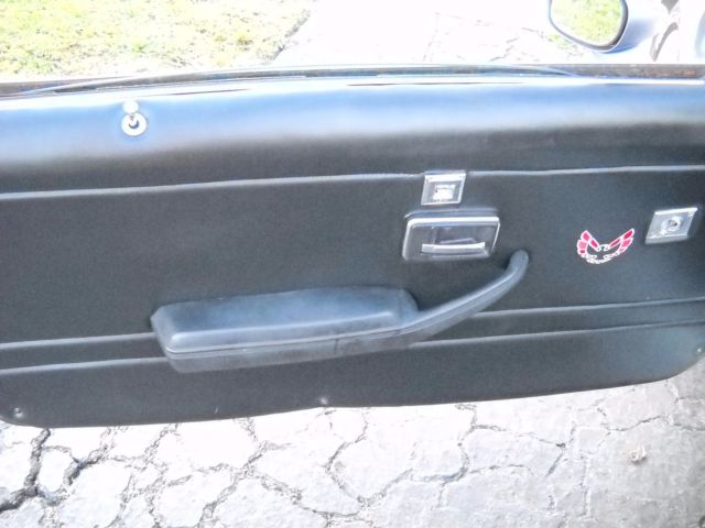1979 Pontiac Firebird 10 YEAR ANNIVERSARY - photo 4