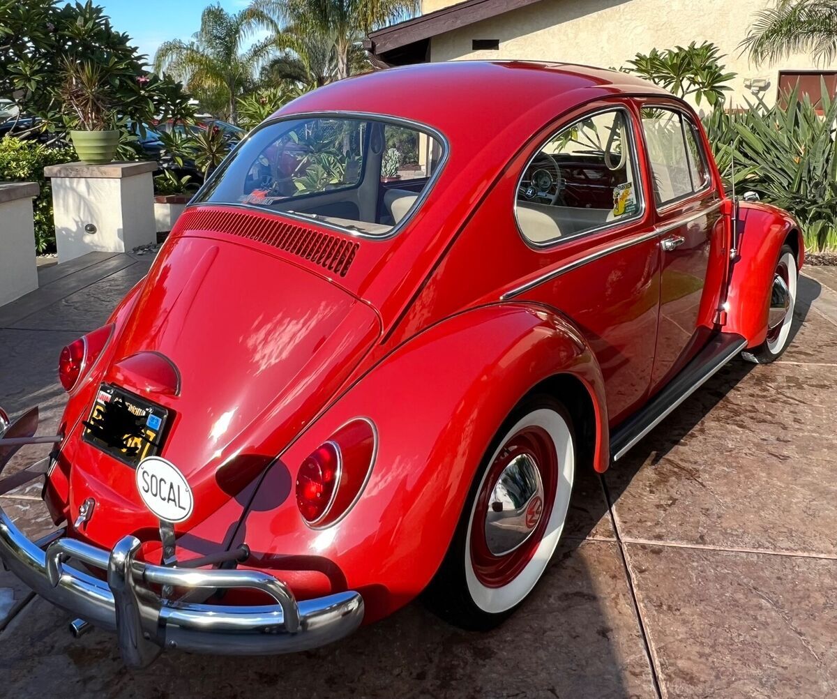 1965 Volkswagen Bus/Vanagon