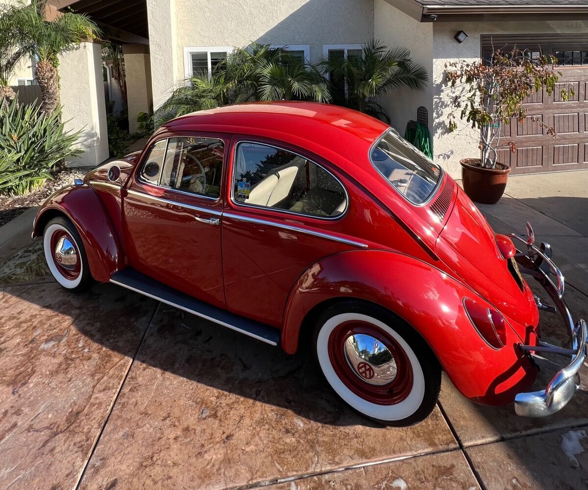 1965 Volkswagen Bus/Vanagon - photo 2