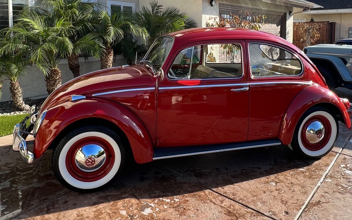 1965 Volkswagen Bus/Vanagon - photo 3