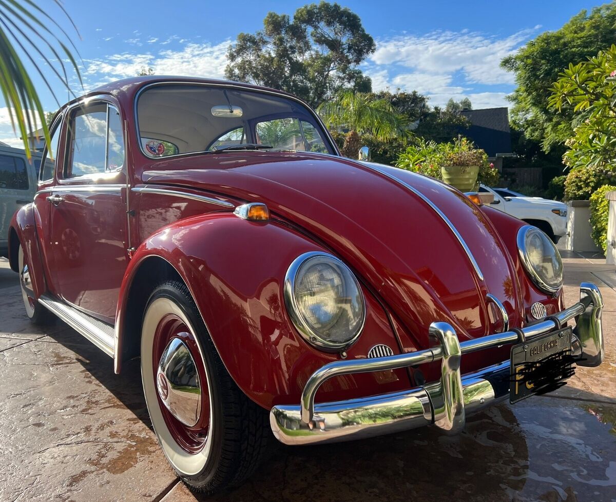 1965 Volkswagen Bus/Vanagon - photo 4