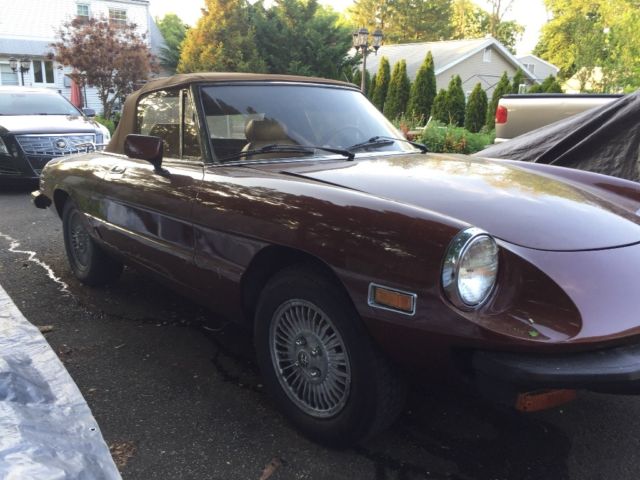 1980 Alfa Romeo Spider Conv - photo 2