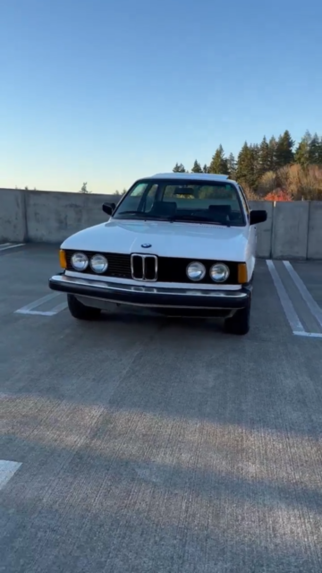 1983 BMW 3-Series - photo 2