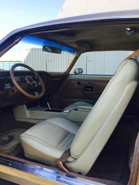 1980 Pontiac Trans Am Firebird - photo 10
