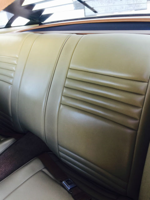 1980 Pontiac Trans Am Firebird - photo 11
