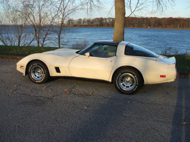 1981 Chevrolet Corvette - photo 2