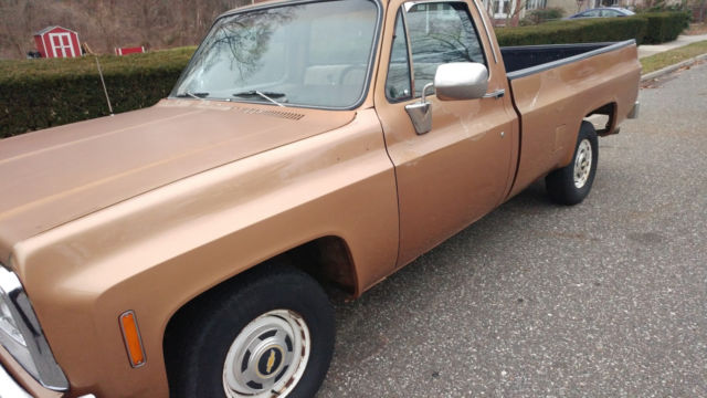 1980 Chevrolet C/K Pickup 1500 custom deluxe - photo 5