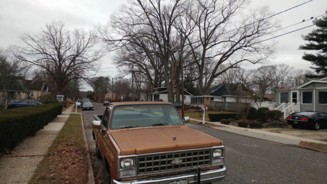 1980 Chevrolet C/K Pickup 1500 custom deluxe - photo 6