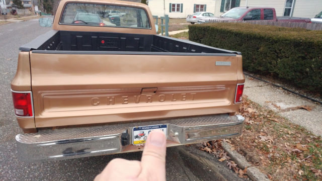 1980 Chevrolet C/K Pickup 1500 custom deluxe - photo 8