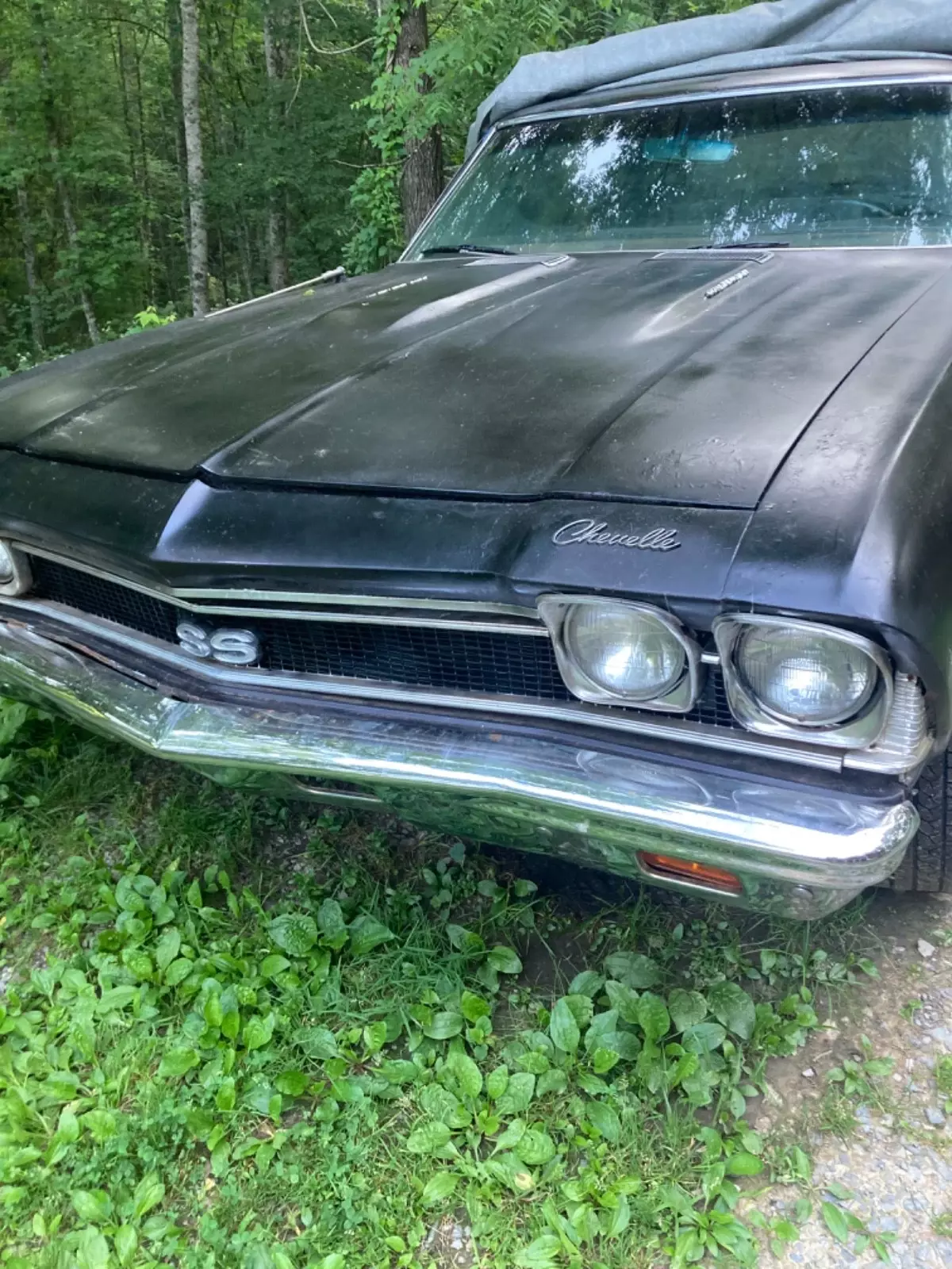 1968 Chevrolet Chevelle - photo 8