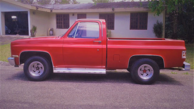 1985 Chevrolet C-10 - photo 6
