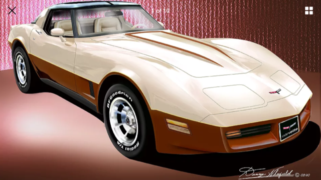 1981 Chevrolet Corvette ONLY 9,000 MILES MINT ORIGINAL SHOW CAR GREAT DRIVER - photo 2