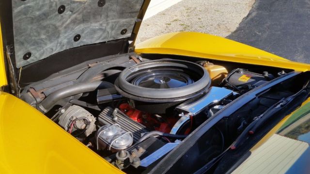 1973 Chevrolet Corvette C-3 Solid T-Tops - photo 8