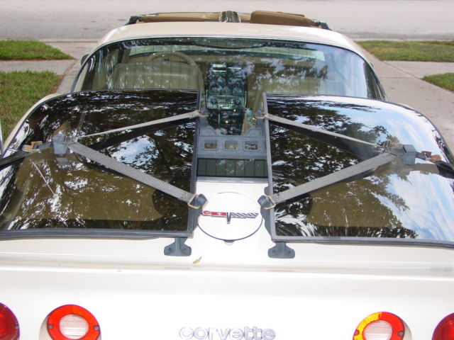 CHEVROLET CORVETTE C3 1981 AUTO TWO TONE T TOP COUPE 1981 Chevrolet Corvette
