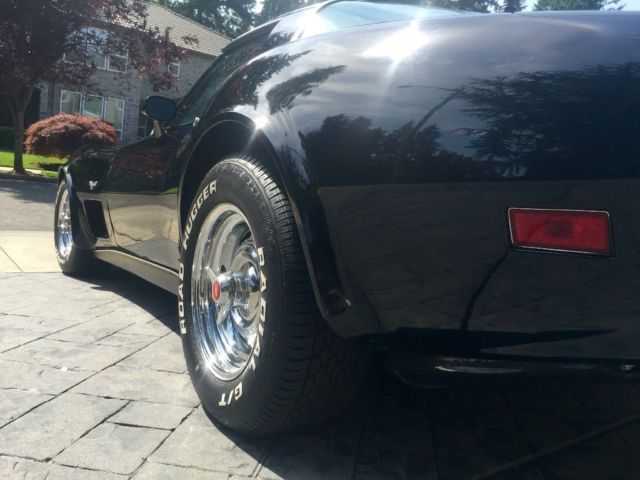 1978 Chevrolet Corvette LOW MILES 19,000 ACTUAL GARAGED LIKE NEW - photo 10